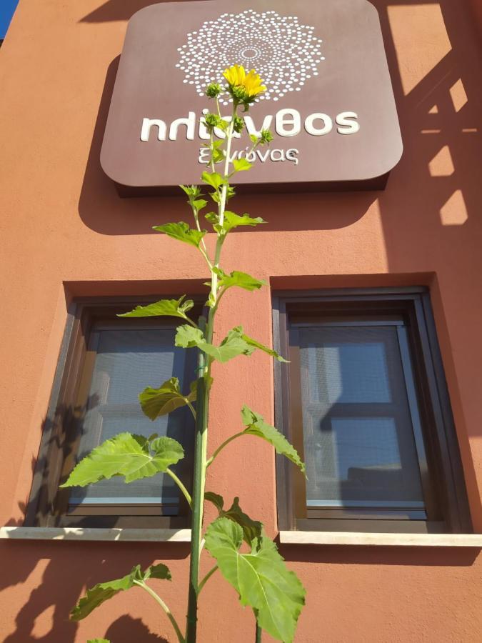 Helianthus Guesthouse Ammoulianí Eksteriør billede